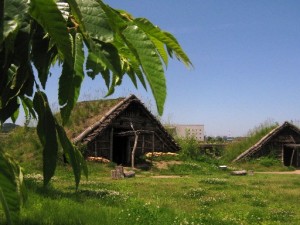 クリの葉と縄文の森広場復元住居