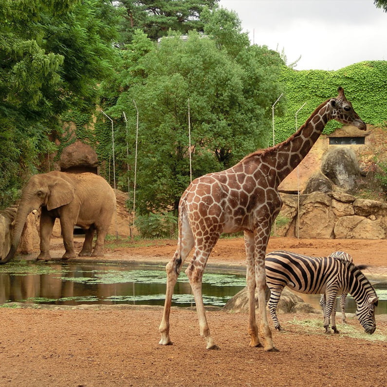 Sendai Yagiyama Zoological Park