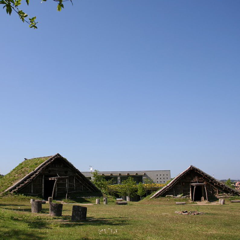 Sendai City Jomon Site Park