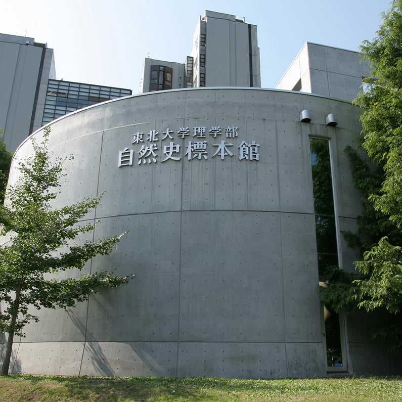 The Tohoku University Museum